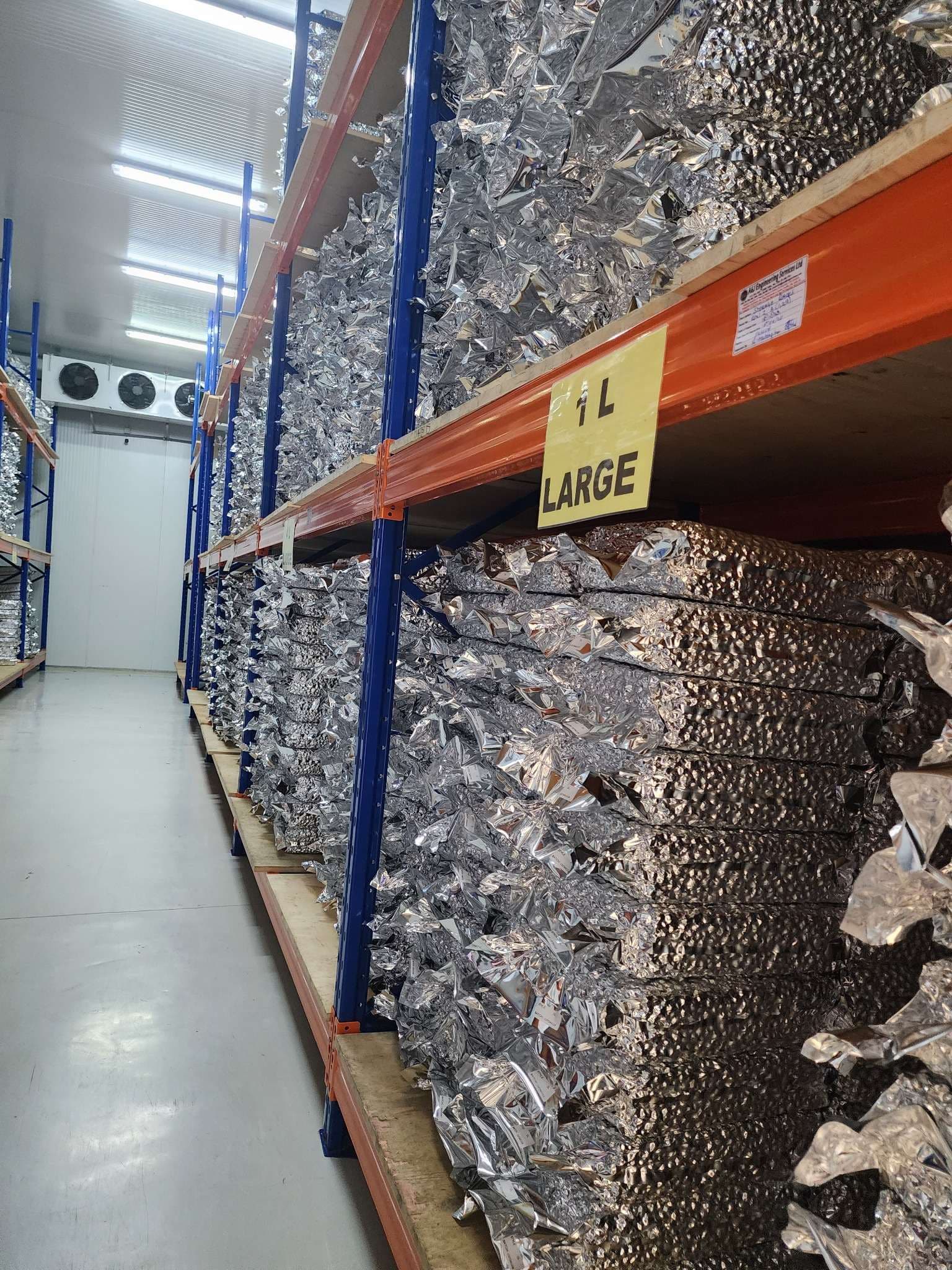 Cold-storage warehouse aisle with pallet racking of vacuum-packed macadamia products