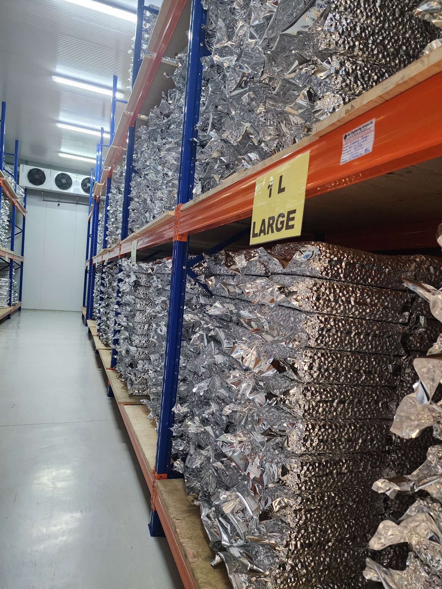 Cold-storage warehouse aisle with pallet racking of vacuum-packed macadamia products